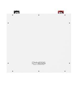 Аккумуляторная батарея Dyness DL5.0C